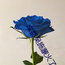 凯时|AG(AsiaGaming)优质运营商