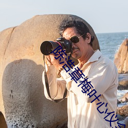陳浩章梅葉心儀全文免費