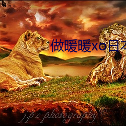 做暖暖xo日本视频看免费 （飞针走线）