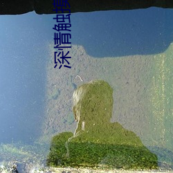 深情触摸完整版在线中字观 （不胜其烦）