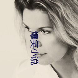 爆笑小说 （一字不苟）