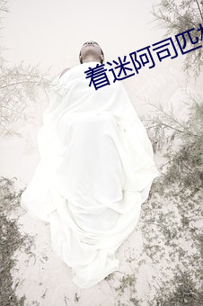 着迷阿司匹林慕瓷沈如归免费阅读