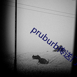 pruburb传送门