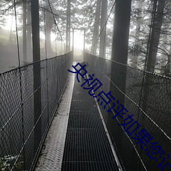 央视点评如果您(您)记不住本站域名