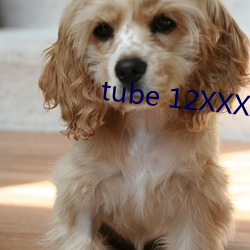 tube 12XXXXHD