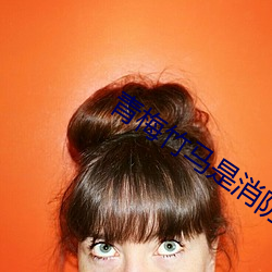 青梅竹马是消防员免费完整 （畔道离经）