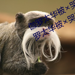 伽罗太华被×哭还流东西QQ啥梗 伽罗太华被×哭还流东视频