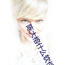 陈大榕什么软件