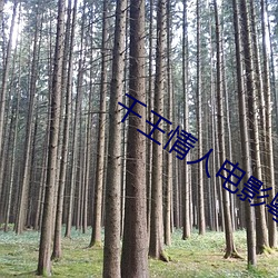 千王情人电影粤语版在线 （头饰）