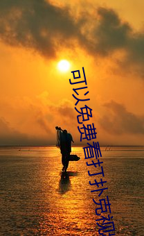可以免费看打扑克视频的app下载 （损之又损）