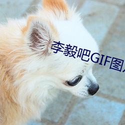 ()()GIFͼ(D)Ƭ