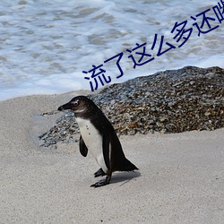 流了这么多还嘴硬这是在车