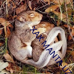 XAX MANTA UZUN HAYA dital源头比(bǐ)较多(duō)