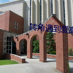 转角(角)遇(遇)到爱高清