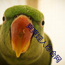 (й) - ٷվ