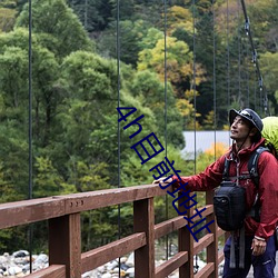 4h目前地(地)址