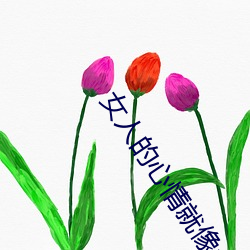 女人的心情就像六月的天氣