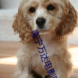 南宁万达(dá)电(diàn)影(yǐng)院影讯(xùn)