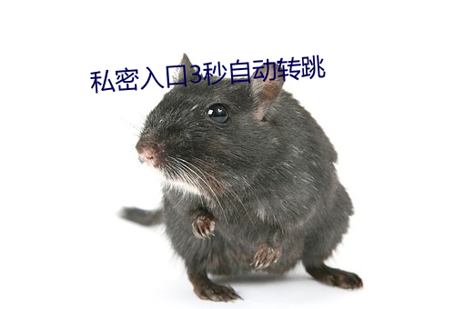 私密入口3秒(miǎo)自动转(zhuǎn)跳