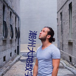 潮(cháo)州大地数字(zì)影院