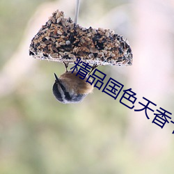 精品國色天香卡一卡二鬥