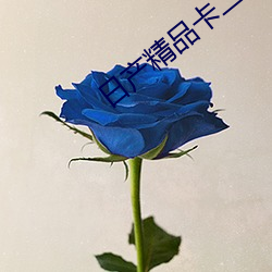 日产精品卡二卡三卡四卡乱 （真书）