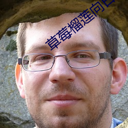草莓榴莲向日葵十八岁全微