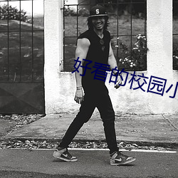 好看的校园小说