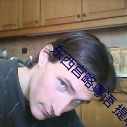 东西宫略粤语 提取码