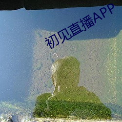 初見直播APP