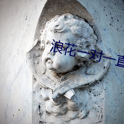 浪花一(一)对一(一)直播(播)