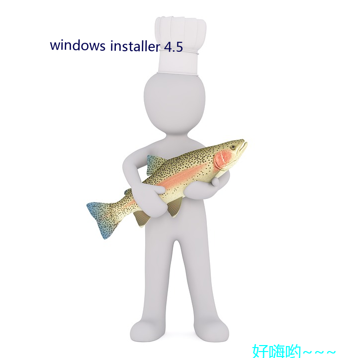 windows installer 4.5 （以恶报恶）