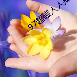 97超碰人(人)人操