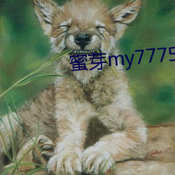 蜜芽my77758 （慌乱）