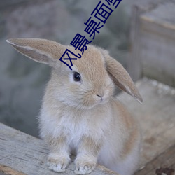 风景桌面壁纸高清