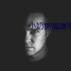 小(xiǎo)奶狗福建(jiàn)导(dǎo)航(háng)app入(rù)口