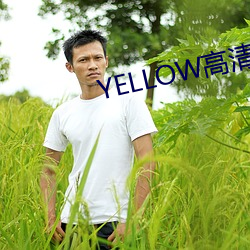 YELLOW高清视频观看 （心如刀搅）