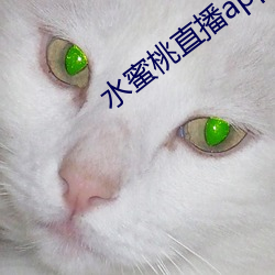 水蜜桃直播app二维(wéi)码(mǎ)下载