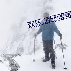 欢乐颂邱莹莹
