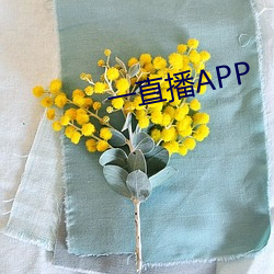 一直(zhí)播APP