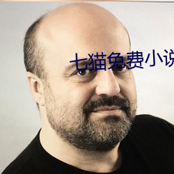 七貓免費小說