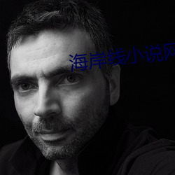 海岸线小说网