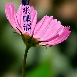 我(wǒ)是杀毒软件