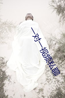 一对(對)一视频私聊(聊)