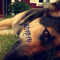 劫(劫)修传