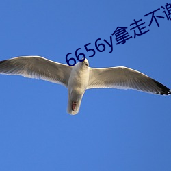 6656y拿(ná)走不谢(xiè)