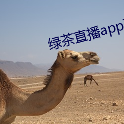 綠茶直播app下載地址