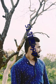 51禁画app （怪雨盲风）