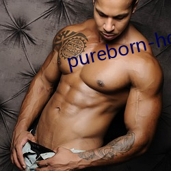 pureborn-hd