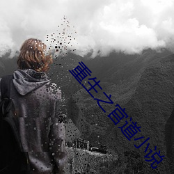 重生之官道小说 （德言工貌）
